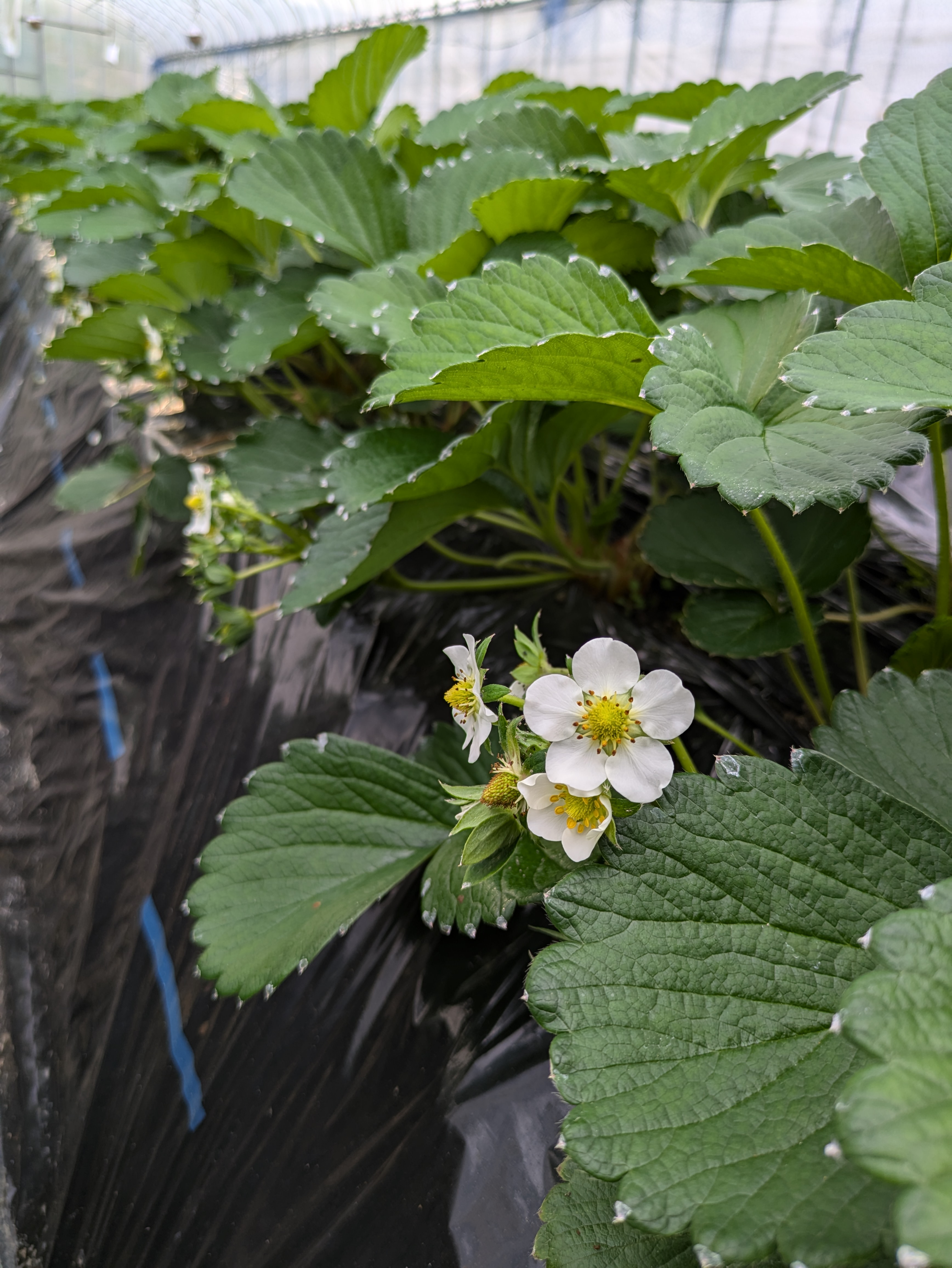 PXL_20241126_055659894