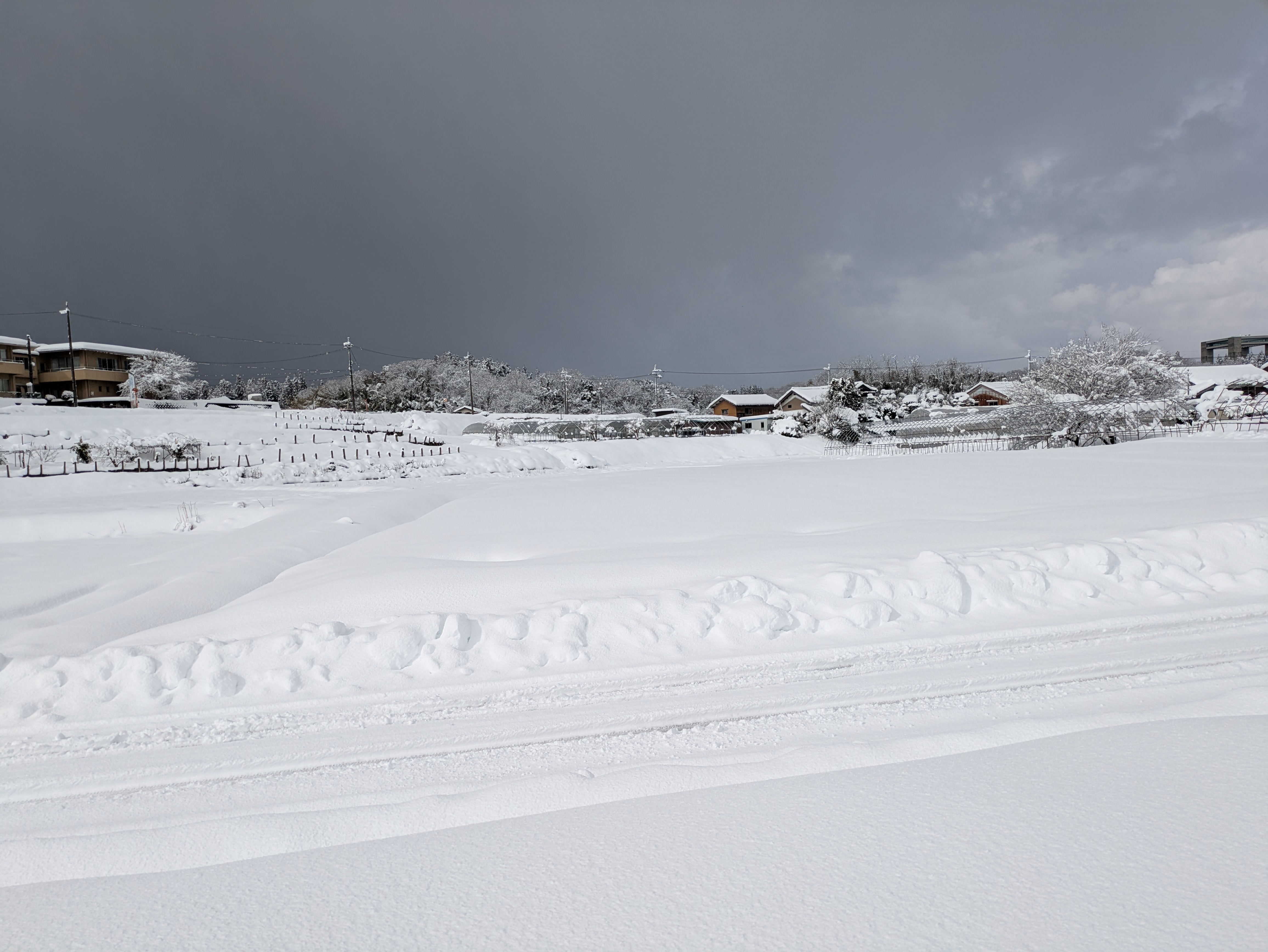 PXL_20250205_014042692.MP